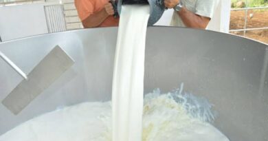 Cláudia de Jesus assume presidência da CPI do Leite e intensifica investigação da crise no setor em Rondônia - CPI do Leite Rondônia