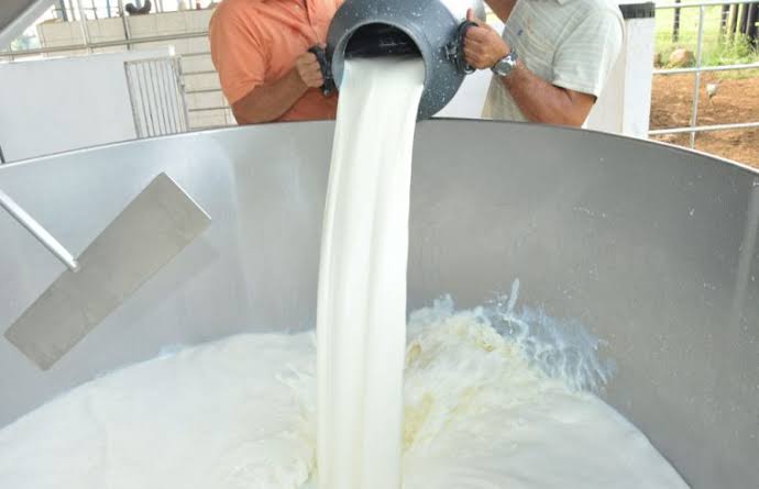 Cláudia de Jesus assume presidência da CPI do Leite e intensifica investigação da crise no setor em Rondônia - CPI do Leite Rondônia