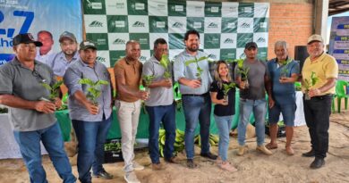 Deputado Jean Oliveira entrega 50 mil mudas de café e impulsiona agricultura familiar em São Miguel do Guaporé - mudas de café clonal