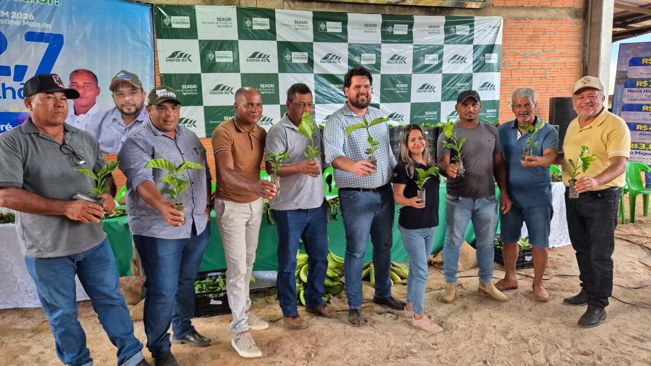 Deputado Jean Oliveira entrega 50 mil mudas de café e impulsiona agricultura familiar em São Miguel do Guaporé - mudas de café clonal