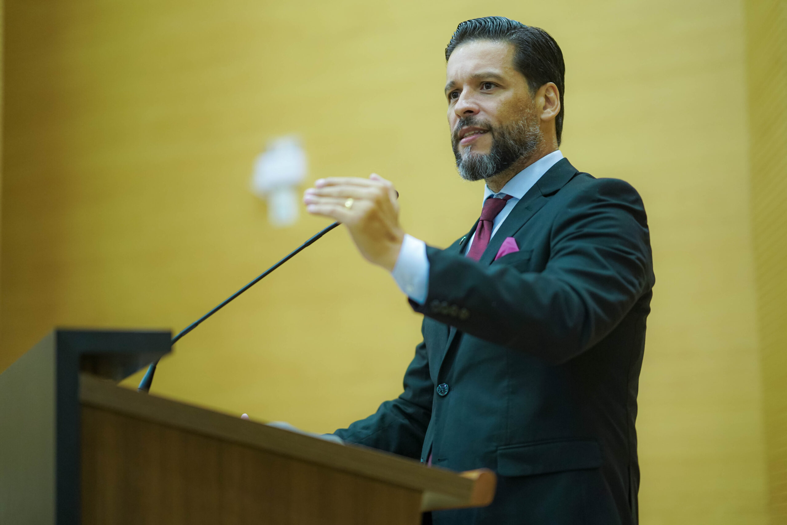 Assembleia Legislativa de Rondônia aprova projeto que proíbe participação de sancionados por corrupção em contratos públicos