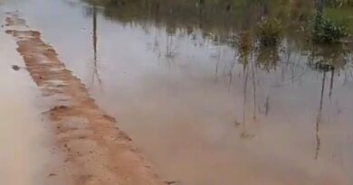 Deputado Alex Redano solicita recuperação da Linha B-106 em Cujubim para melhorar tráfego