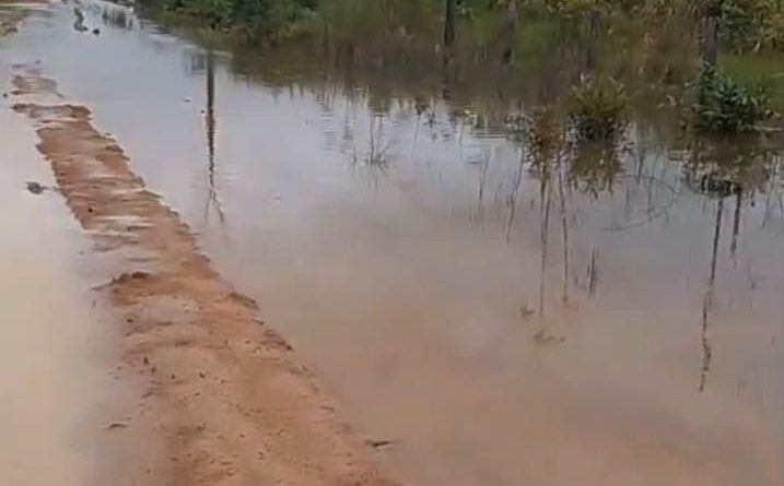 Deputado Alex Redano solicita recuperação da Linha B-106 em Cujubim para melhorar tráfego