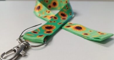 Projeto garante prioridade para pessoas com deficiência no trabalho remoto no Brasil - trabalho remoto para pessoas com deficiência