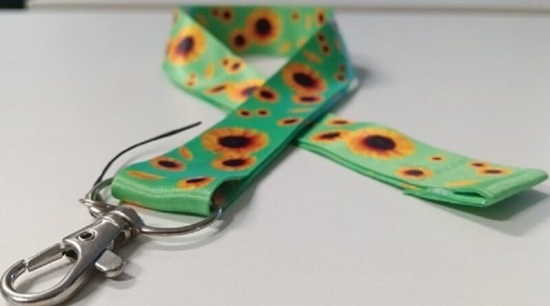 Projeto garante prioridade para pessoas com deficiência no trabalho remoto no Brasil - trabalho remoto para pessoas com deficiência