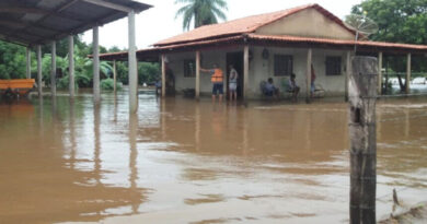 Refinanciamento de dívidas rurais: Senado aprova projeto para produtores afetados por eventos climáticos