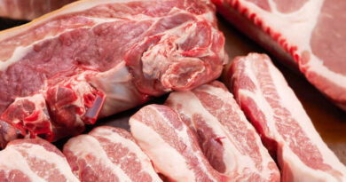 União Europeia suspende importações de carne brasileira por uso de antimicrobianos na pecuária - importações de carne do Brasil pela União Europeia